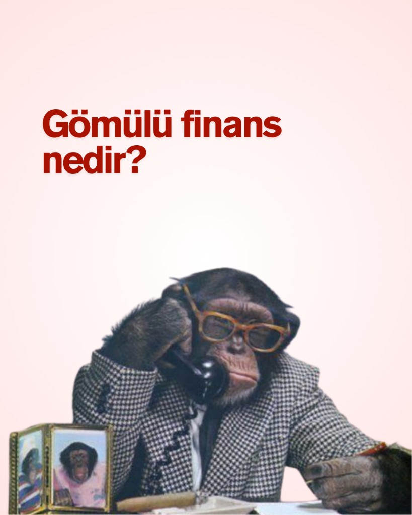 Gömülü finans (embedded finance) nedir ve markalar e-ticaret entegrasyonu ile nasıl bankalaşıyor?
